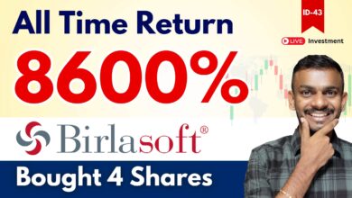 Birlasoft Share Price